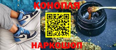хмурый Сланцы