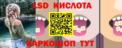 хмурый Сланцы