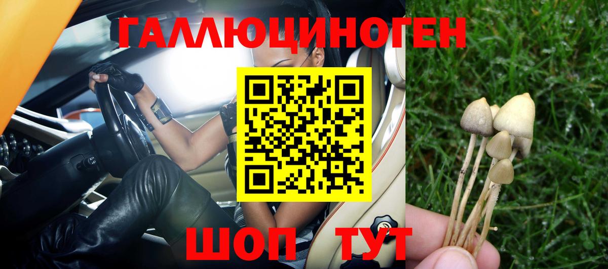 Галлюциногенные грибы GOLDEN TEACHER Обь